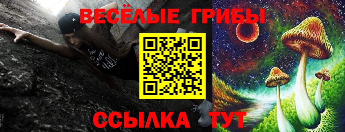 Донской  закладки  Вход с VPN  Псилоцибиновые грибы MAGIC MUSHROOMS 
