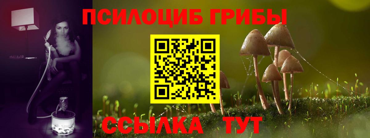 Галлюциногенные грибы мицелий Донской