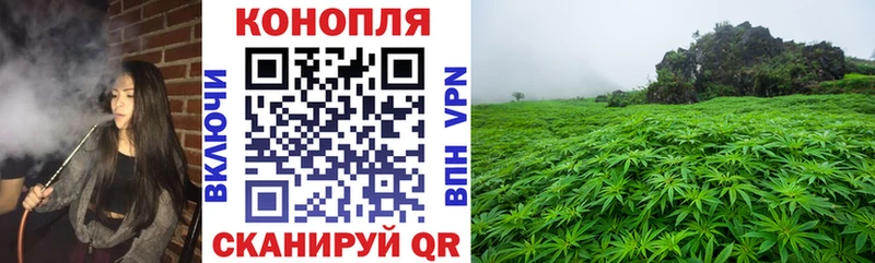 Бошки Шишки планчик  Донской 